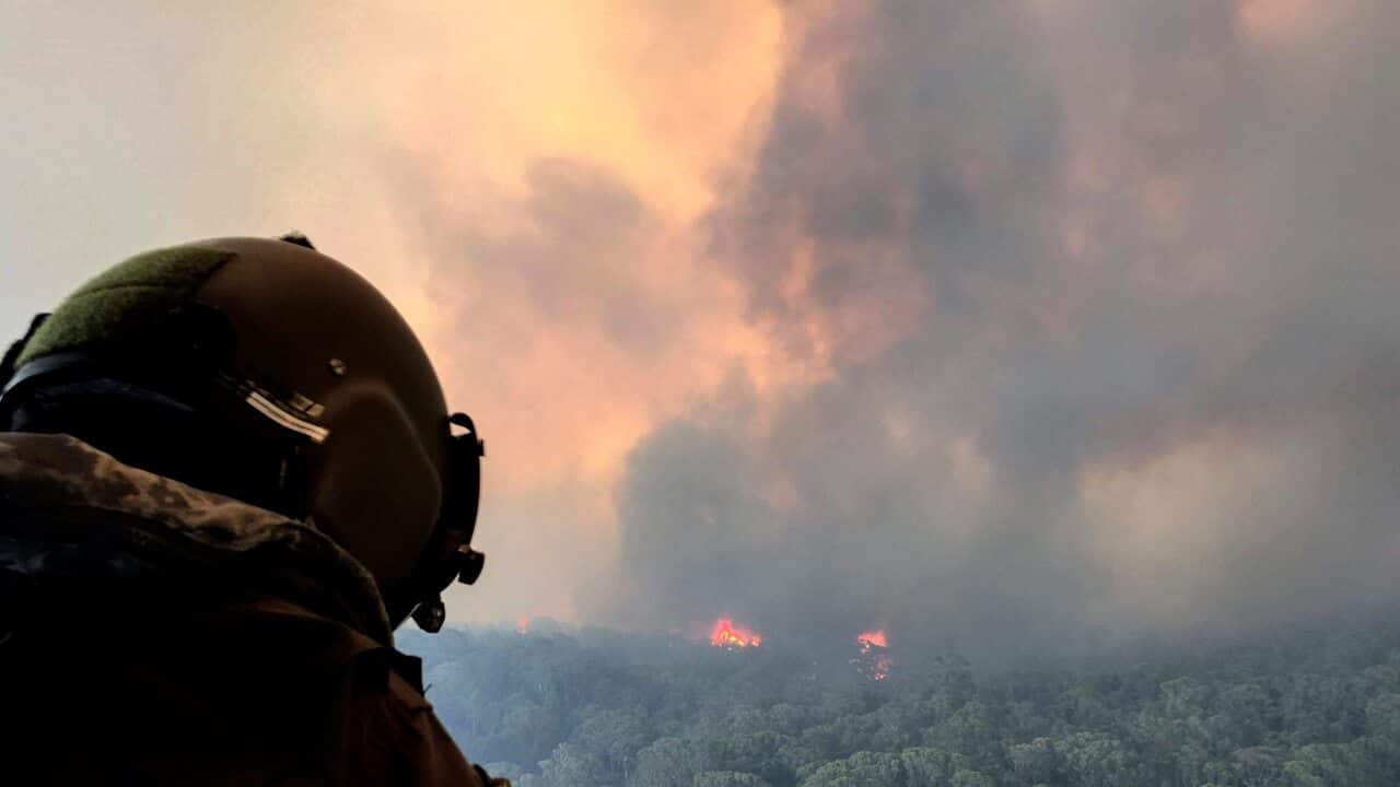 A Navy crewman assesses the Grose Valley bushfire in the Blue Mountains National Park.