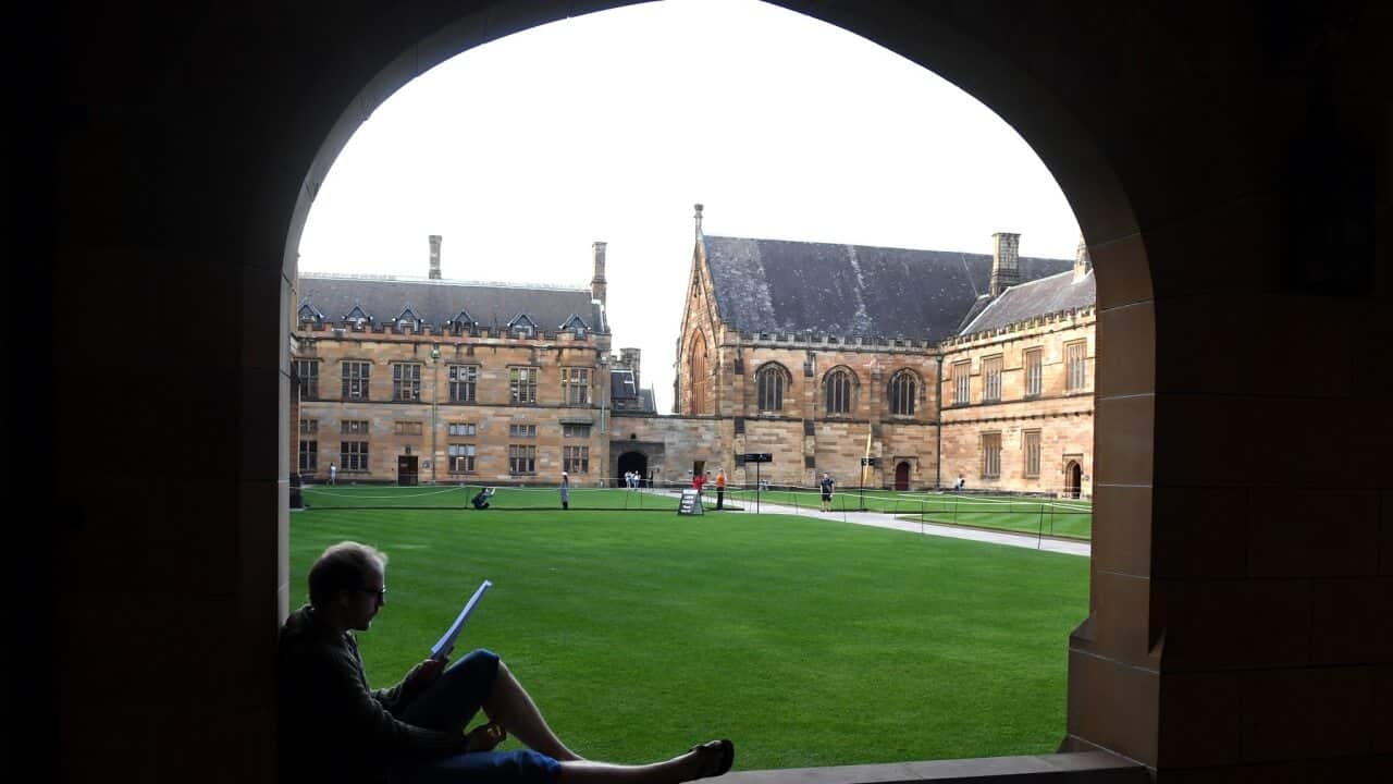 The Quadrangle of the University of Sydney. A Senate commitee has recommended the passage of the federal government's bill on university fees.