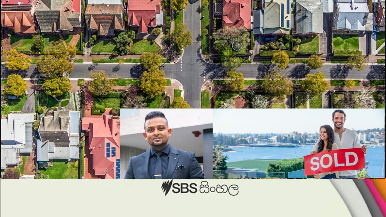 Real Estate interview.jpg