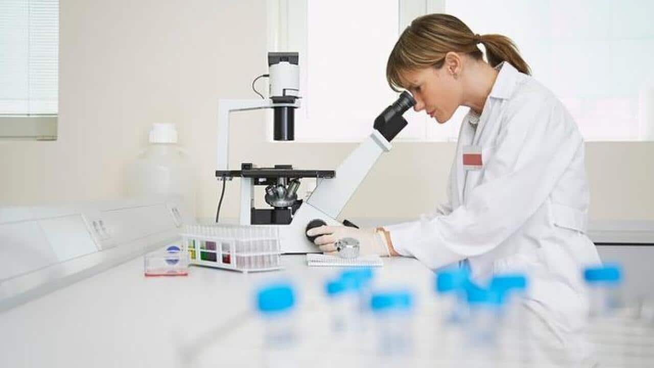 Scientist using microscope in laboratory