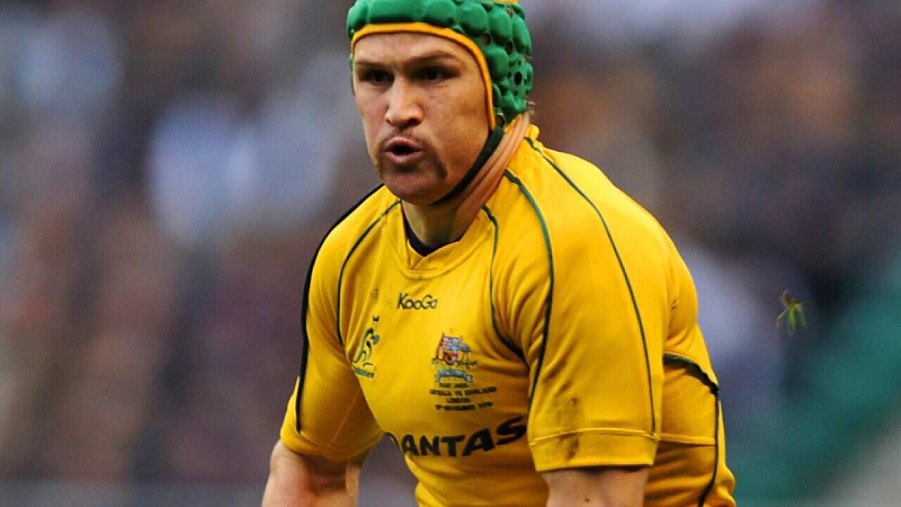 Australia's Matt Giteau