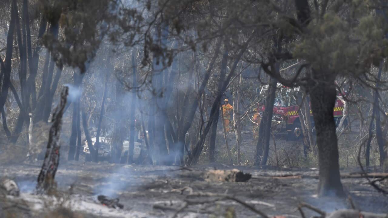 Burnt out land is seen at Carrum Downs in Melbourne.