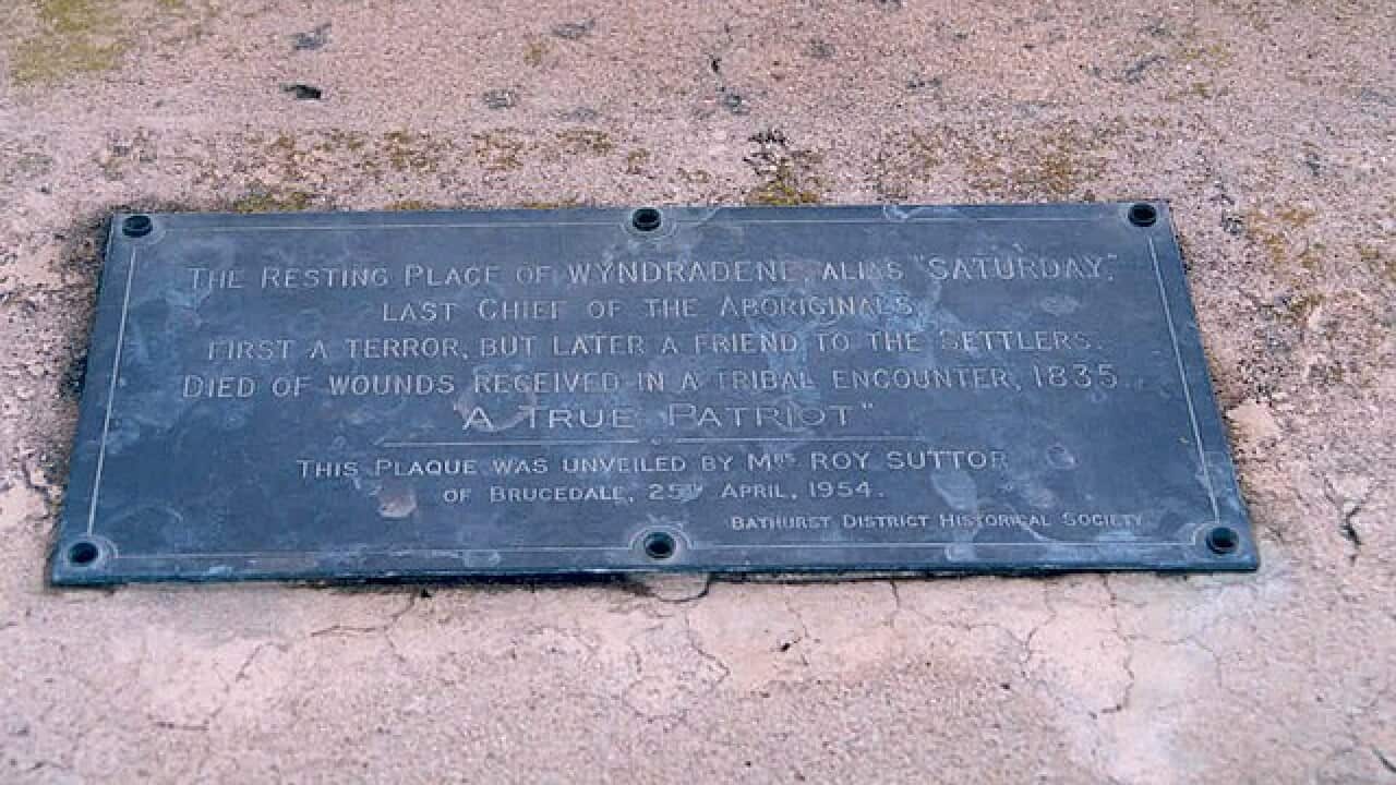 Image for read more article 'READ MORE'