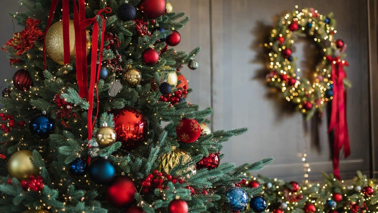 Cozy home interior with christmas tree, wreath and garlands.