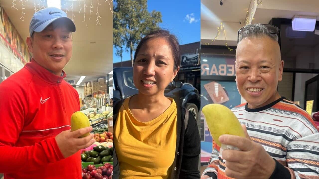 Mango lovers profile photo.jpg