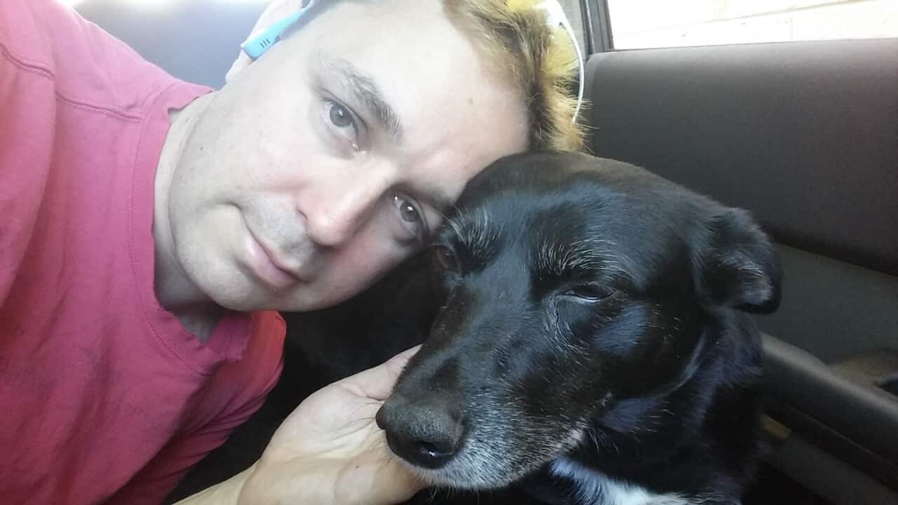 Solemn man in a red shirt, caressing the head of a black-and-white dog