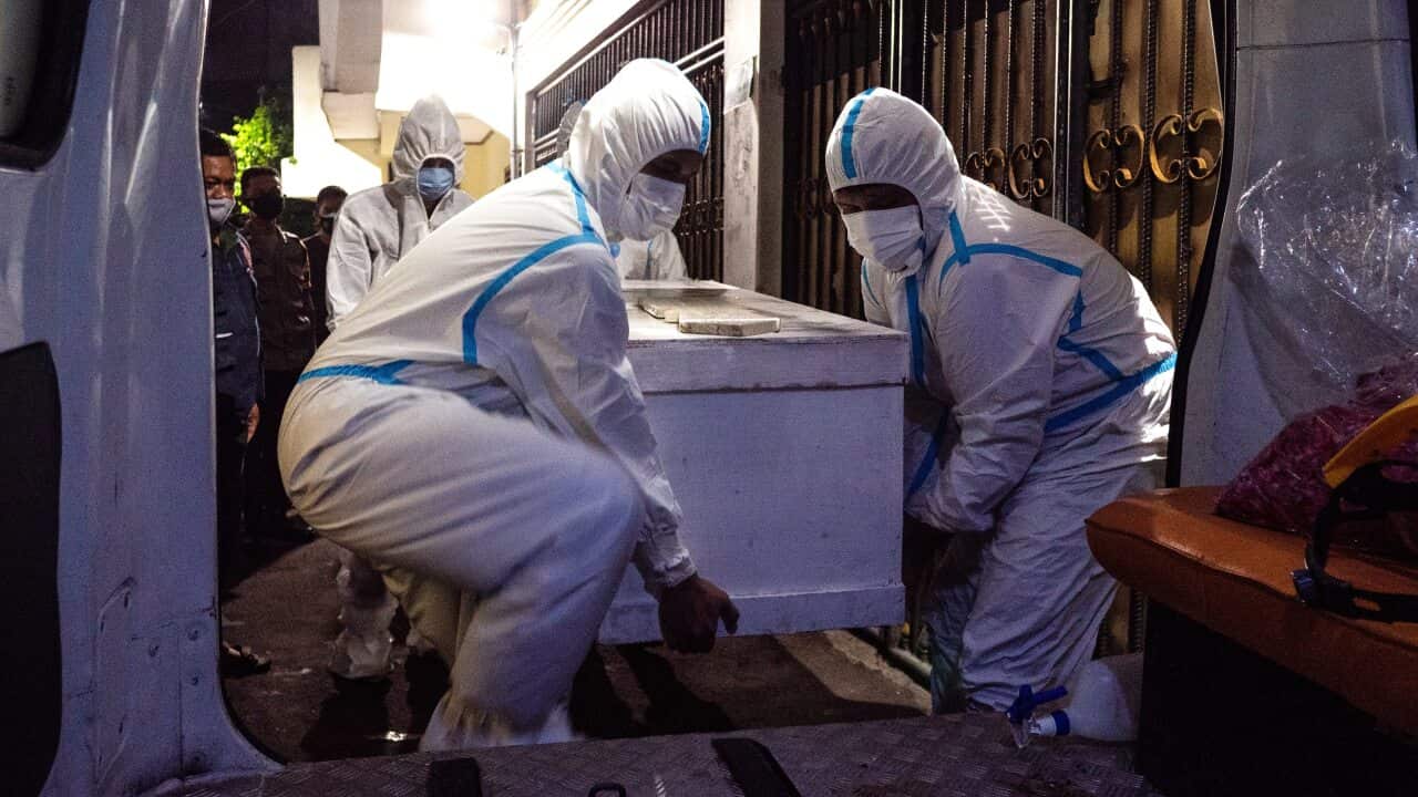 Image for read more article 'READ MORE'