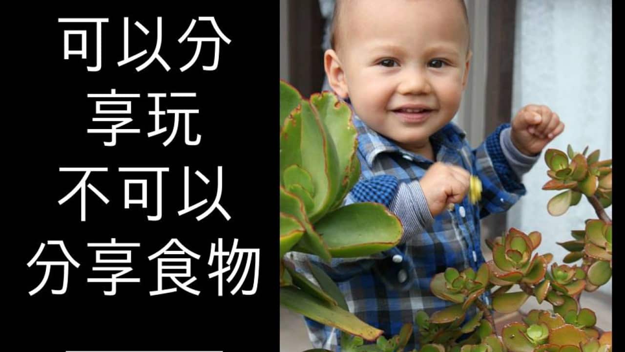 Experts say children from Asian backgrounds are over-represented among those with life-threatening reactions.