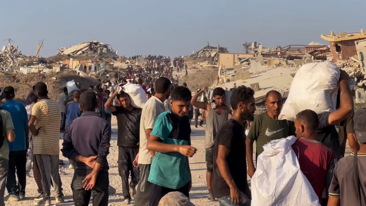 Palestinian Territories: Situation in Gaza