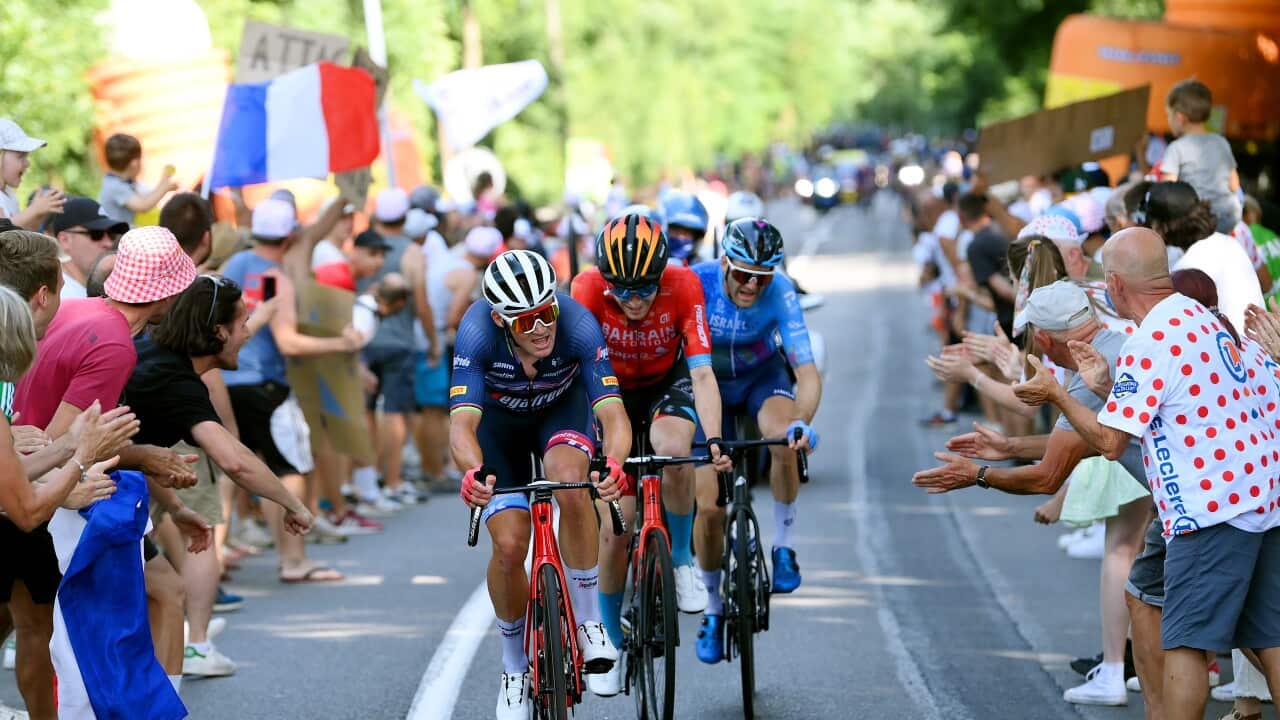 Image for read more article 'READ MORE'