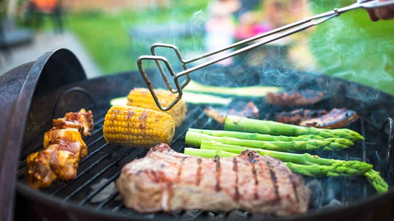Meat And Vegetables On Barbecue Grill.