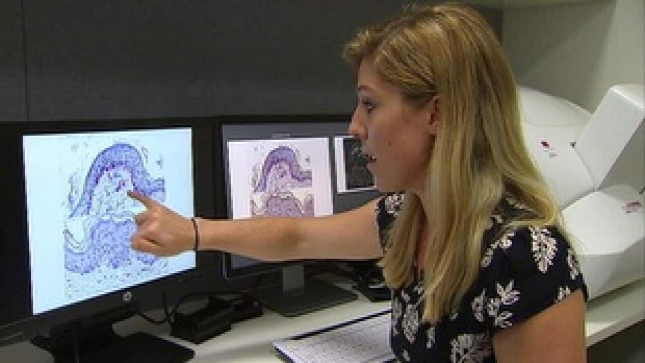 Dr Lydia Tong