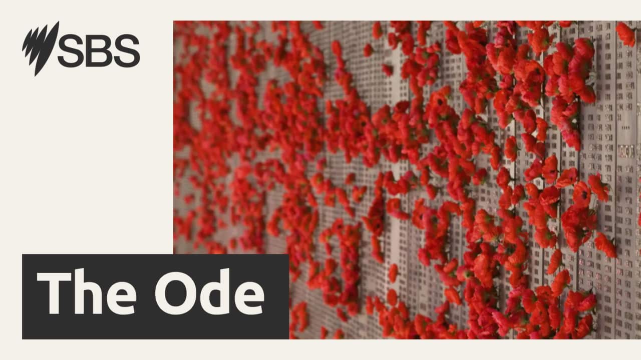 Image for read more article '其他語言版本'