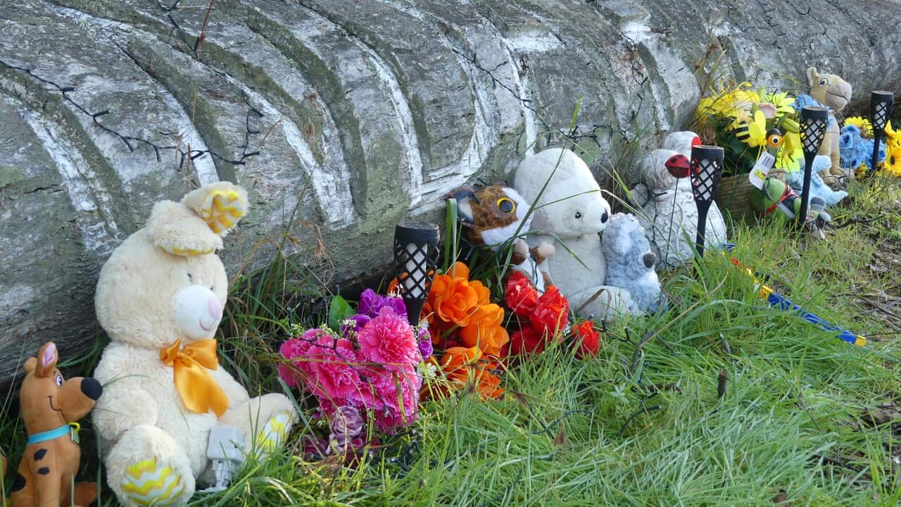 A row of flowers and plush toys on grass.