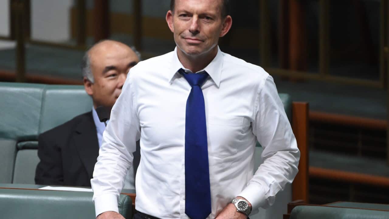 Former prime minister Tony Abbott