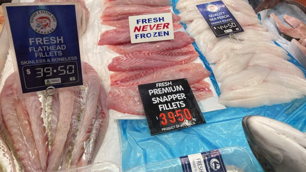 Tomaru58 Snapper and Flathead (2).jpg