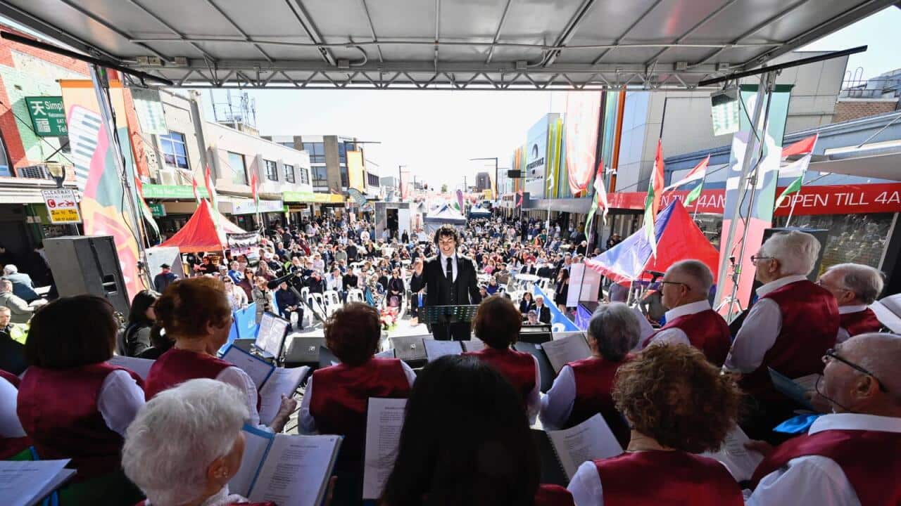 WhatsApp Image 2025-08-19 at 07.31.41.jpeg