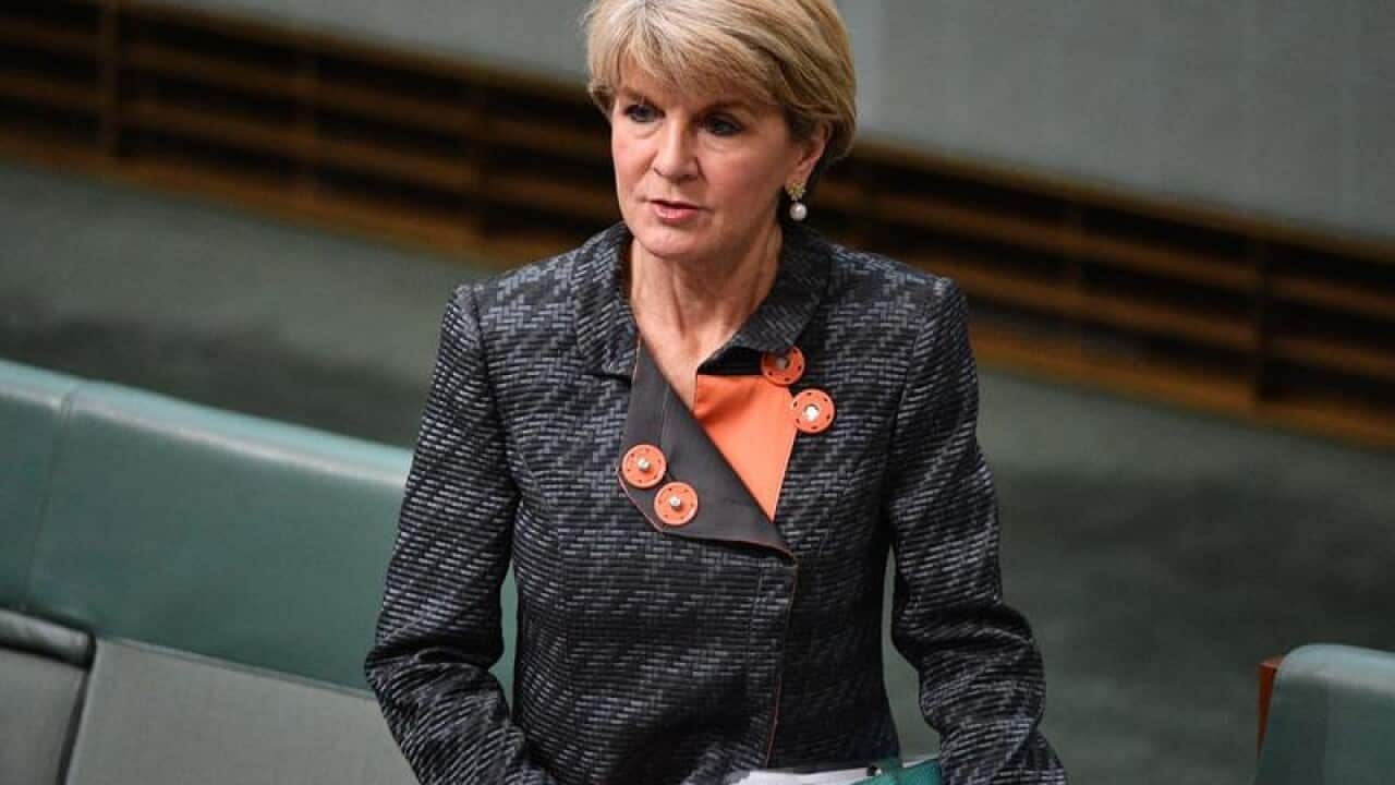 Former foreign minister Julie Bishop