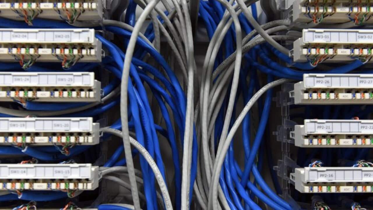 Ethernet data cables are seen in a server room