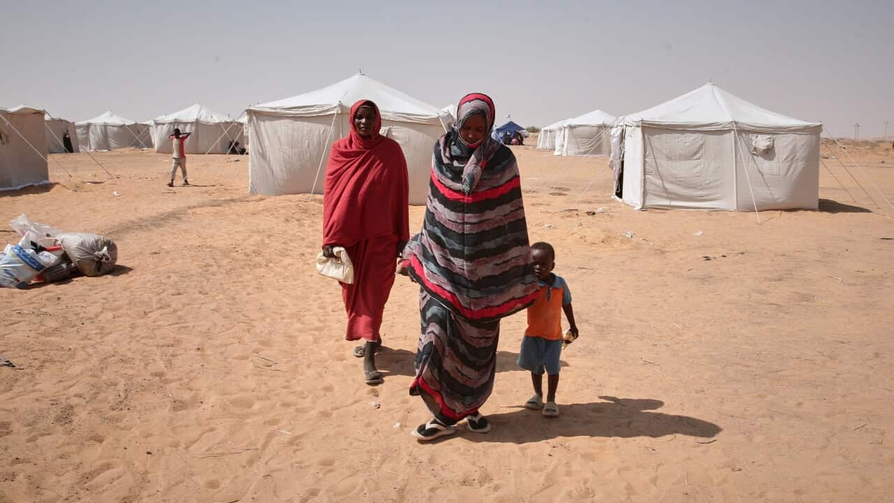 People displaced from North Darfur's capital, el-Fasher and other conflict-affected areas settle in the newly established El-Afadh camp in Al Dabbah.