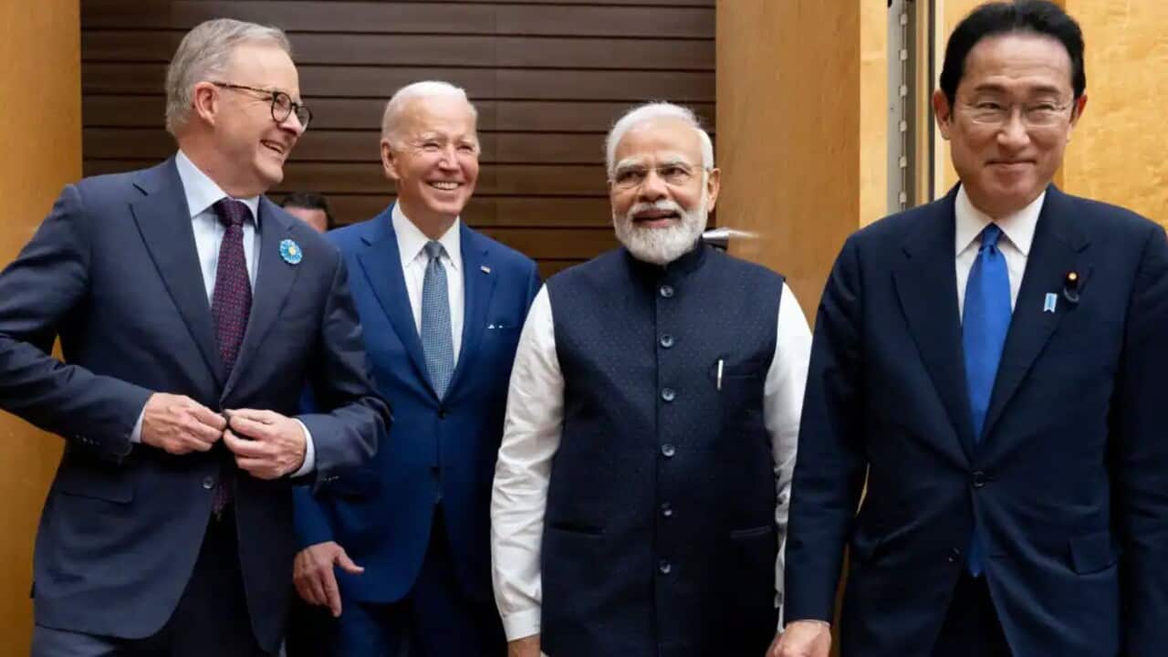 Prime Minister Anthony Albanese, US President Joe Biden, Indian PM Narendra Modi, and Japanese PM Fumio Kishida at the Quad Leaders summit.
