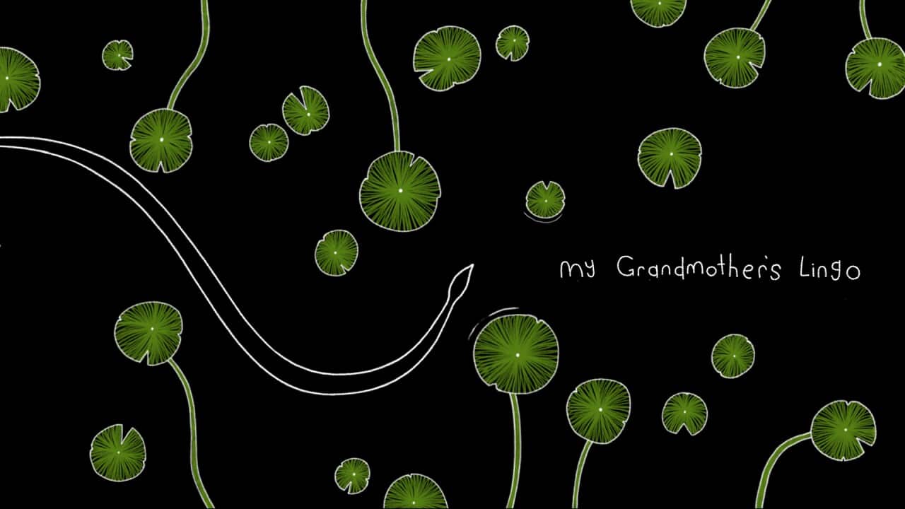 Image for read more article 'Discover My Grandmother's Lingo'