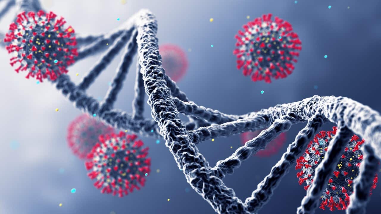 DNA Virus Wide. DNA Infection. Concept. 3D Render