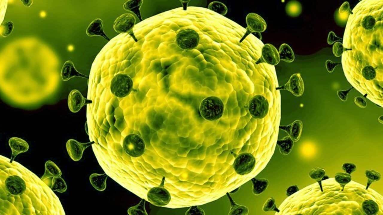 Image for read more article 'READ MORE'