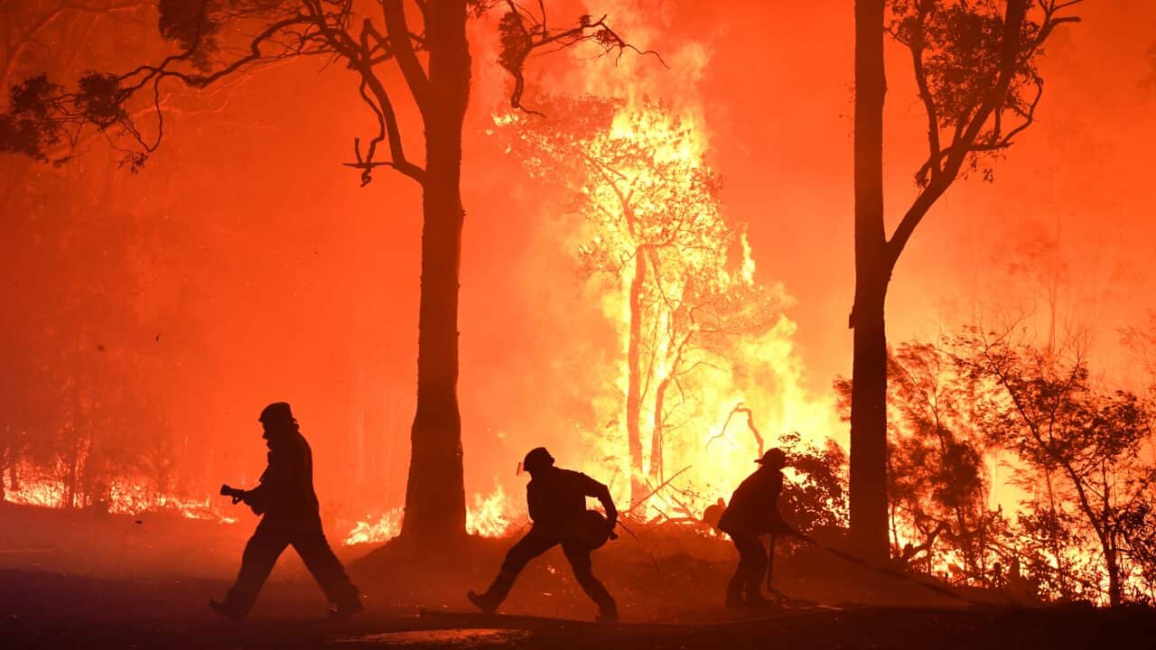 RFS volunteers and NSW Fire and Rescue officers fight a bushfire south of Sydney during the Black Summer bushfires.