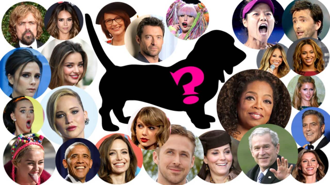 Which celebrity owns this pet?