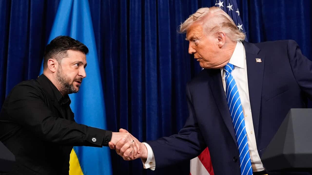 Donald Trump,Volodymyr Zelenskyy