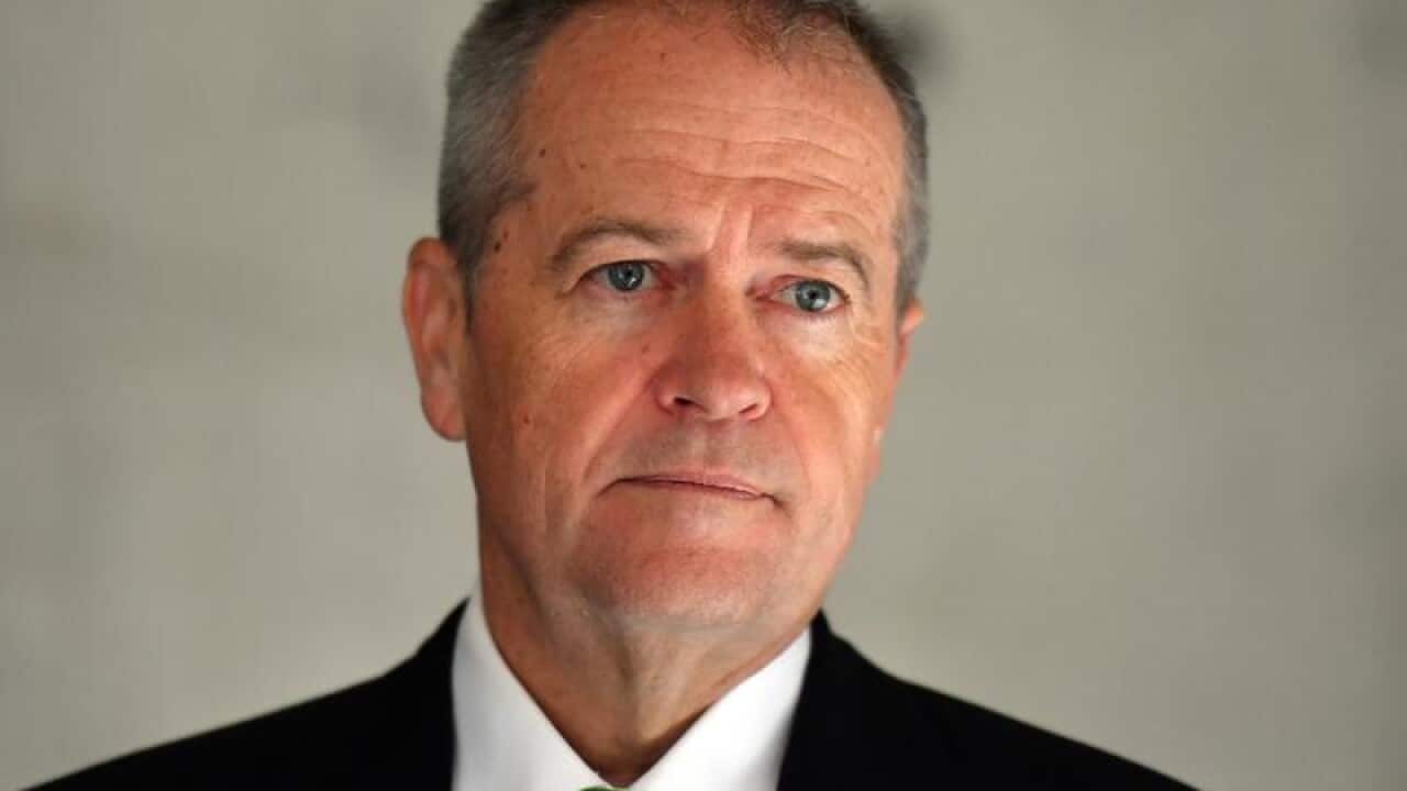 Bill Shorten says says Labor is "positively disposed" towards the trade pact.