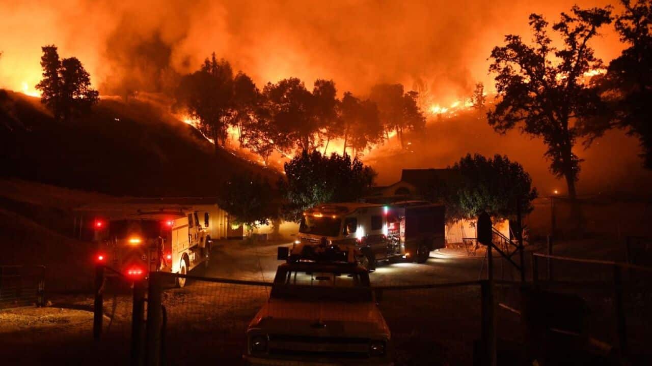 Firefighters conduct a controlled burn to defend houses against flames 