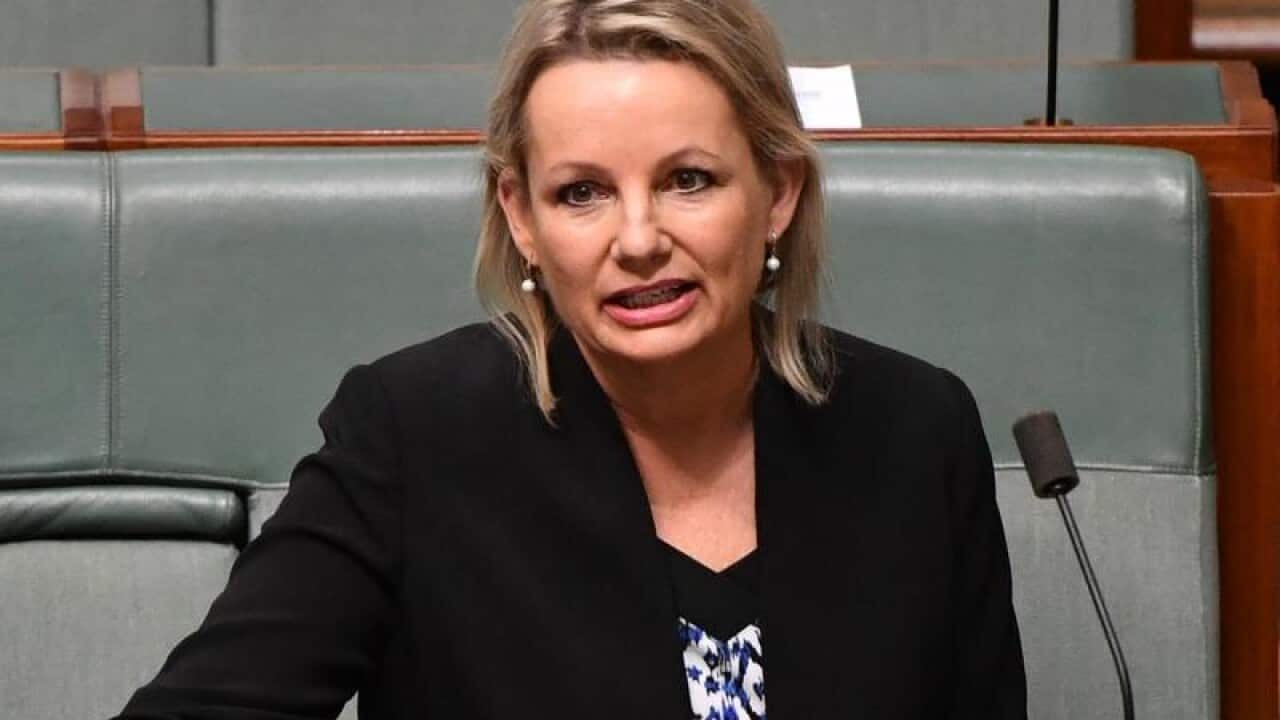 Environment Minister Sussan Ley