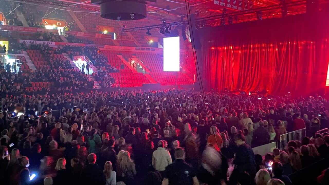 concert_audience
