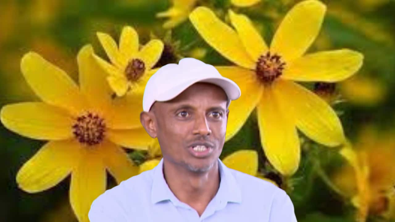 Melaku Getachew.png