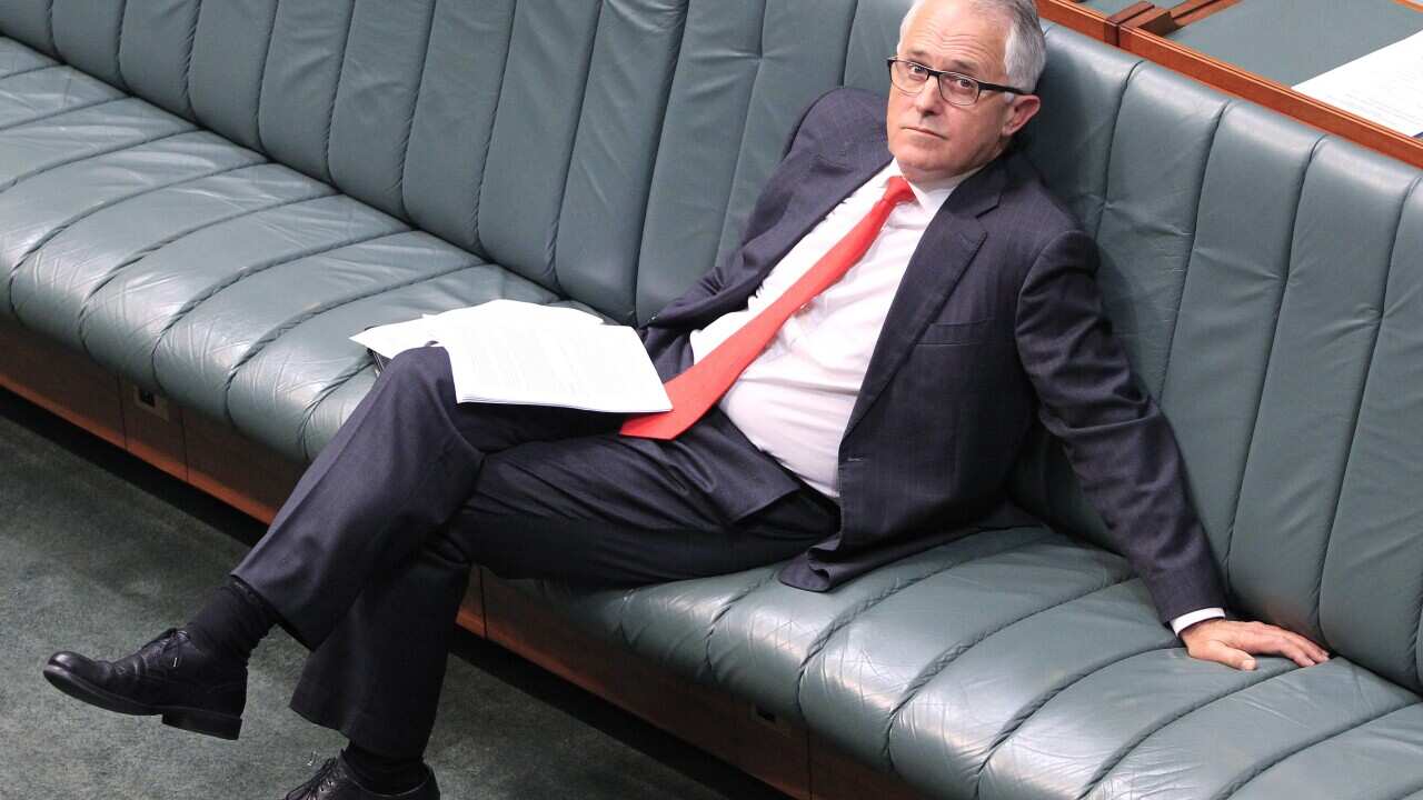 Malcolm Turnbull