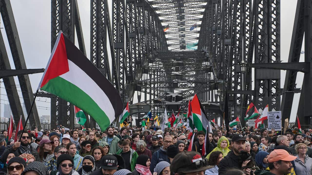 'Not equivalent to antisemitism': Critics speak out against proposed NSW protest reforms