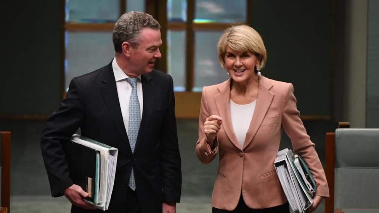 Christopher Pyne and Julie Bishop