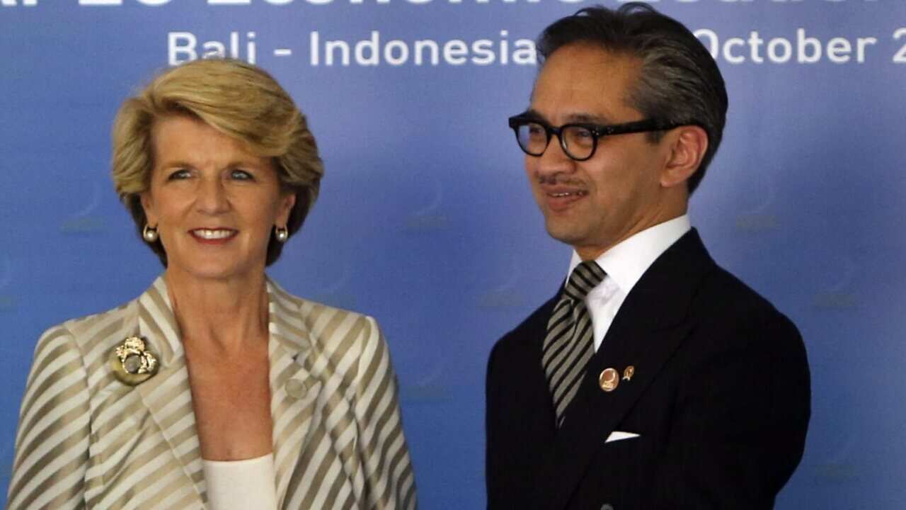 The Indonesian and Australian Foreign Ministers - AAP.jpg