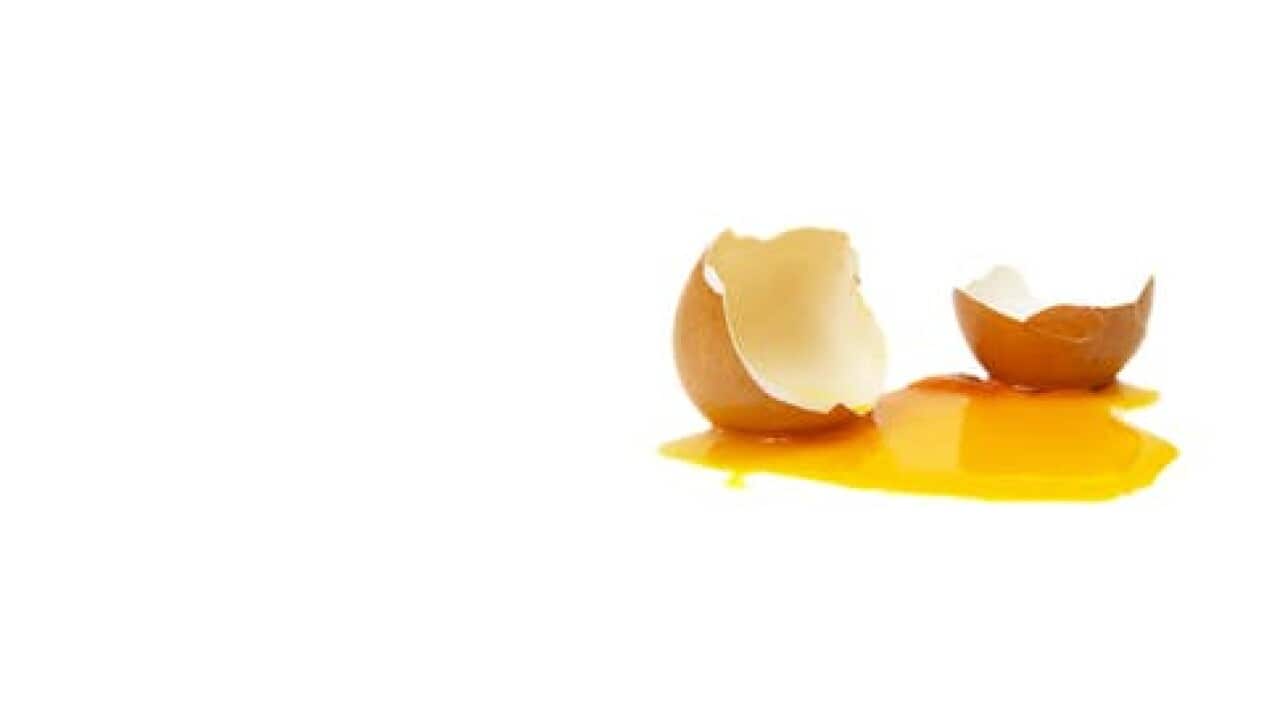 Broken contract: ‘Egg Girl’ Amber Holt’s employer might find she has breached her obligations as an employee to protect the company’s image.