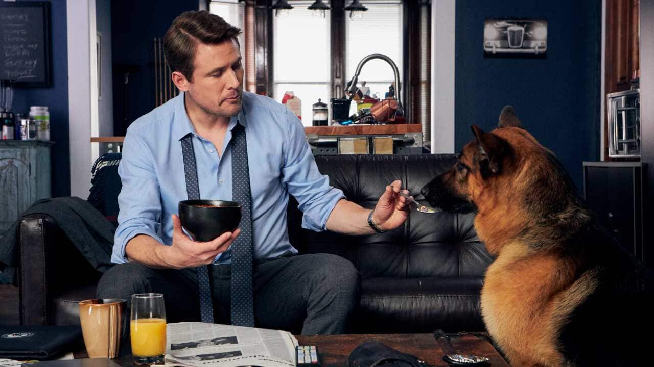 Image for read more article 'BEHIND THE SCENES OF 'HUDSON & REX''