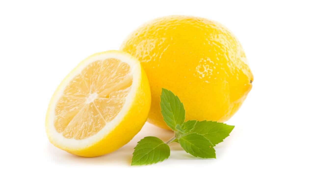 Lemon fruit.