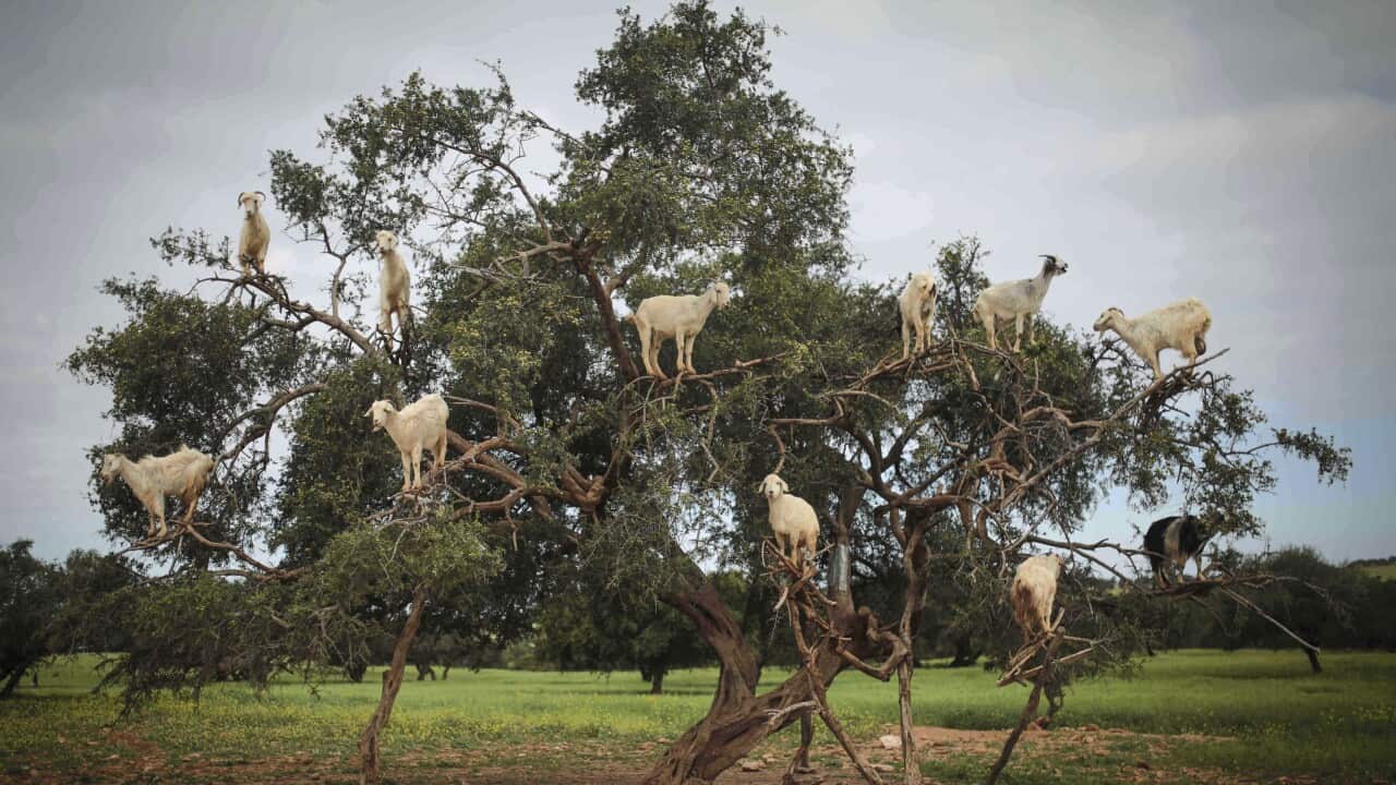 Image for read more article 'READ MORE'