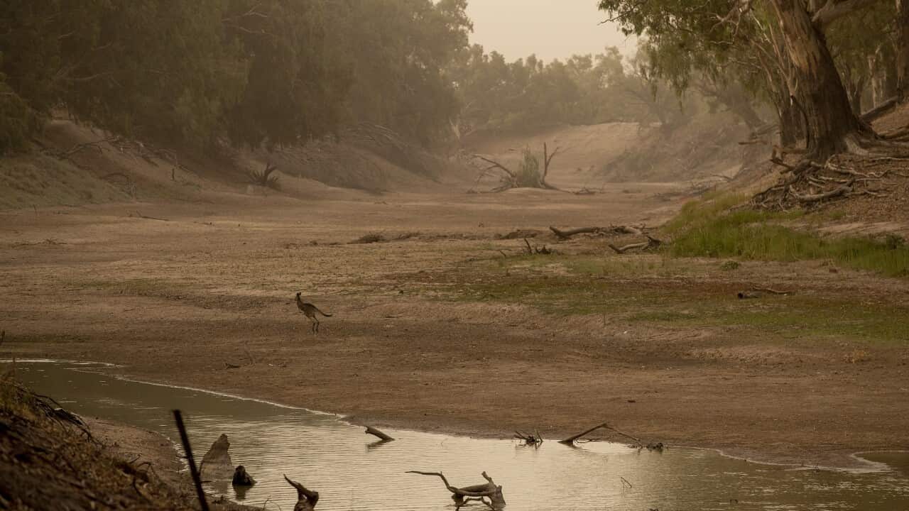 Brewarrina Weir Overflows As Murray-Darling River System Runs Again Following Rain Across NSW
