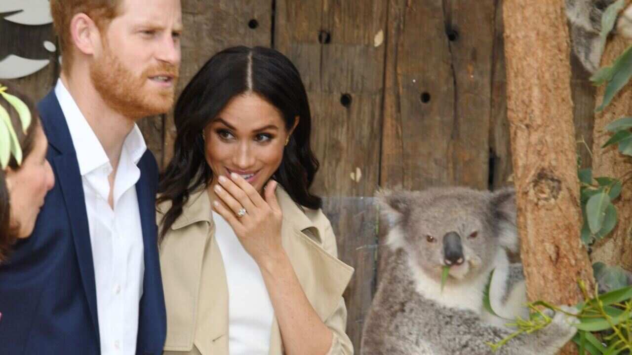 Britain's Prince Harry and his wife Meghan are seen meeting Ruby a mother koala who gave birth to koala joey named Meghan.