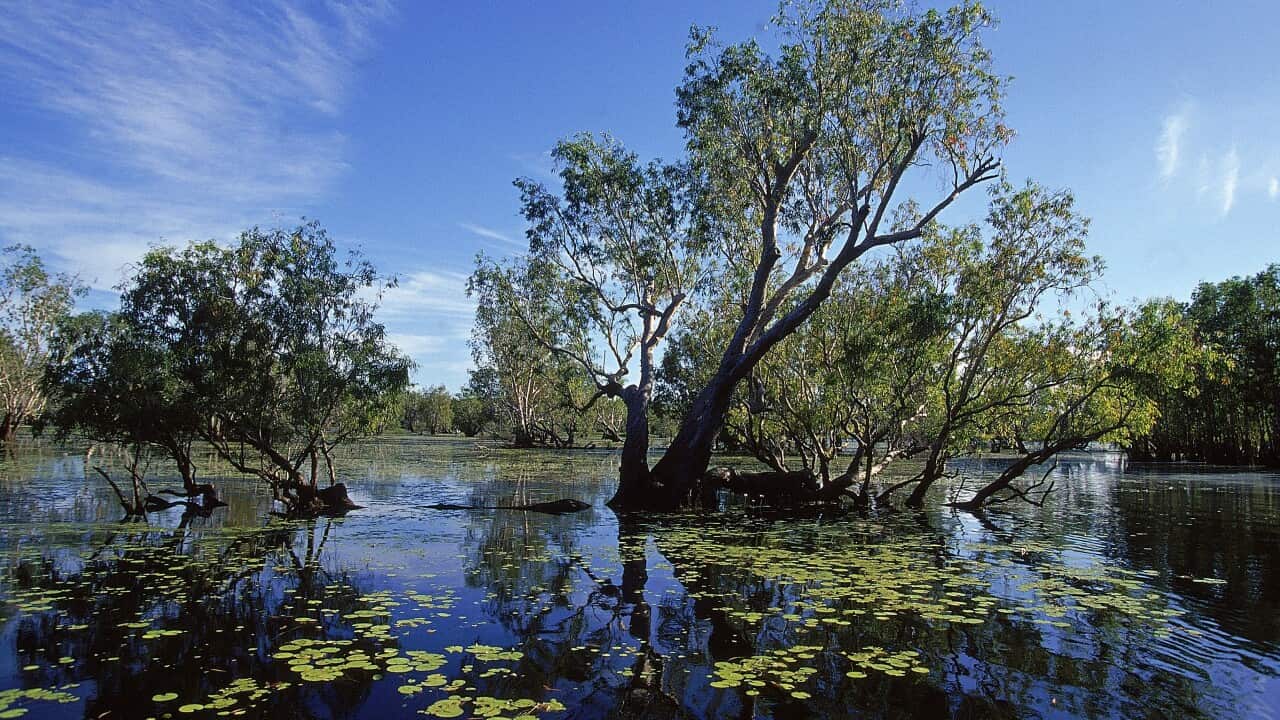 kakadu_national_park_getty.jpg