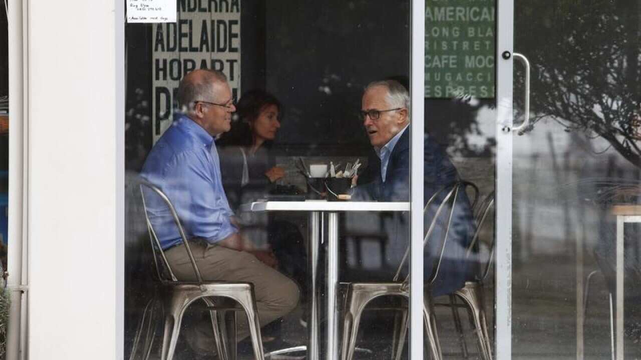 MALCOLM TURNBULL