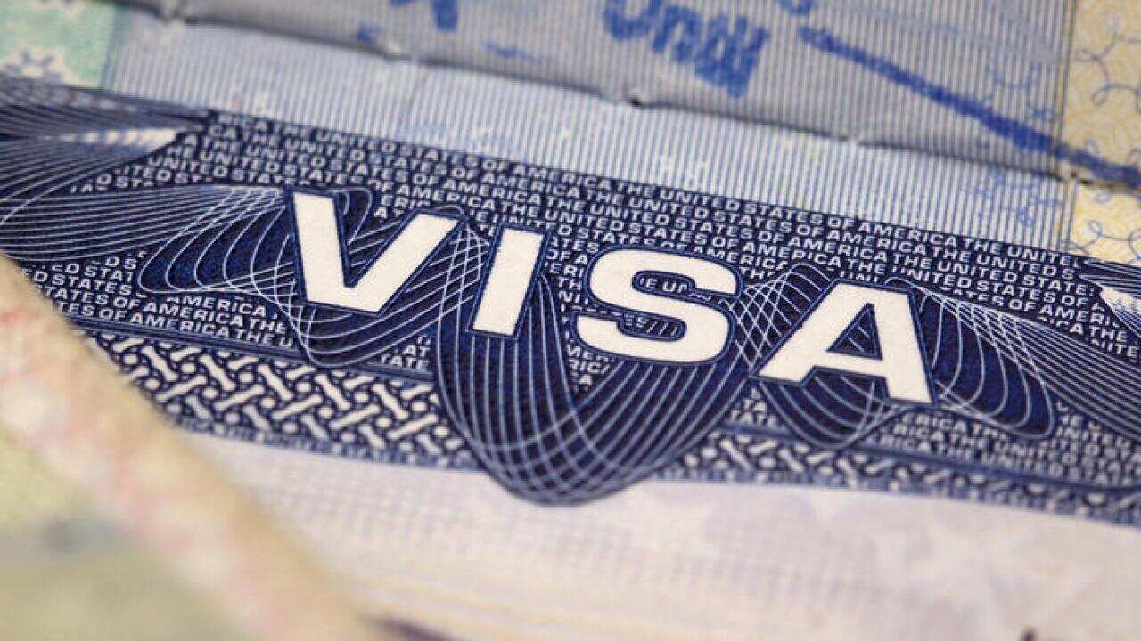 visado