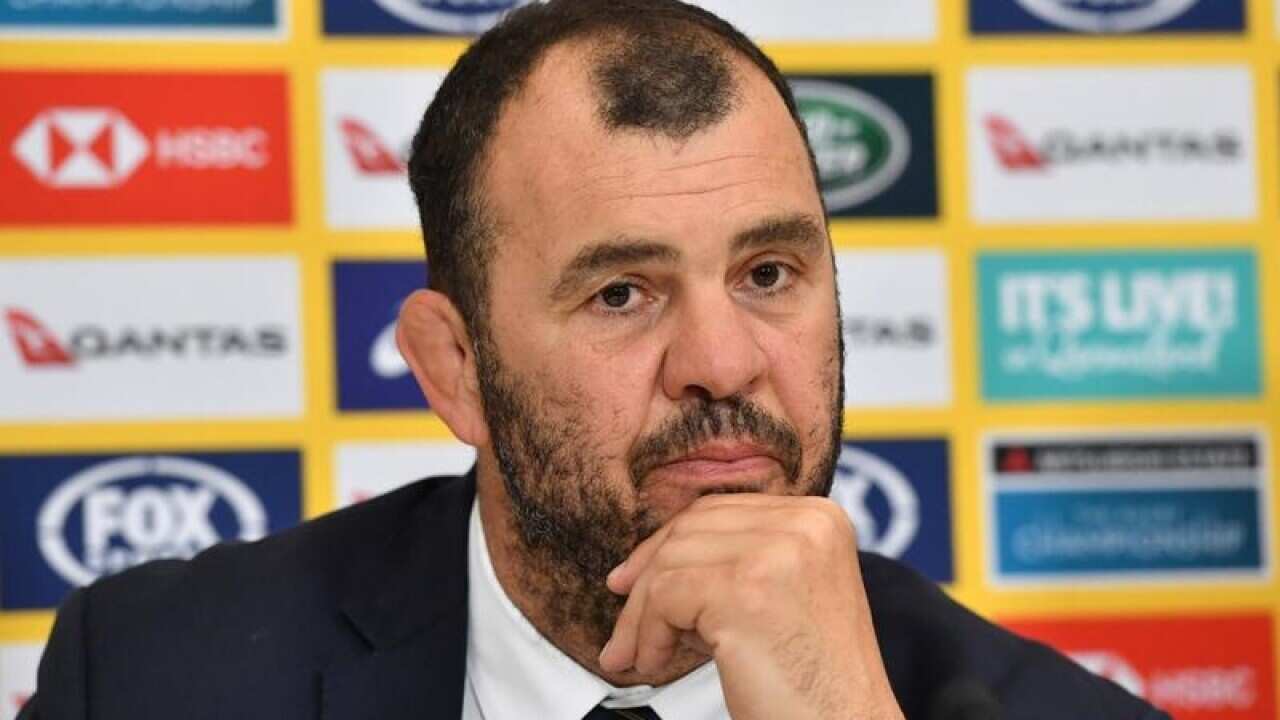 Michael Cheika